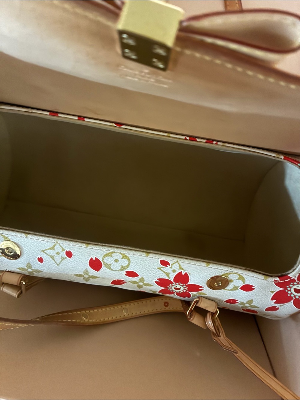 Louis Vuitton x Takashi Murakami Cherry Blossom Papillon - Picture 9 of 14